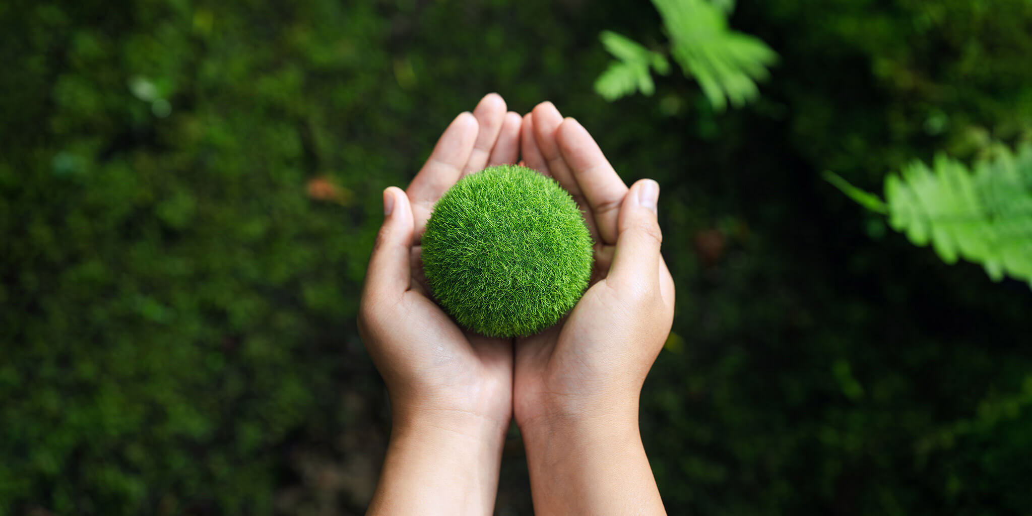 London GreenCity Case Study